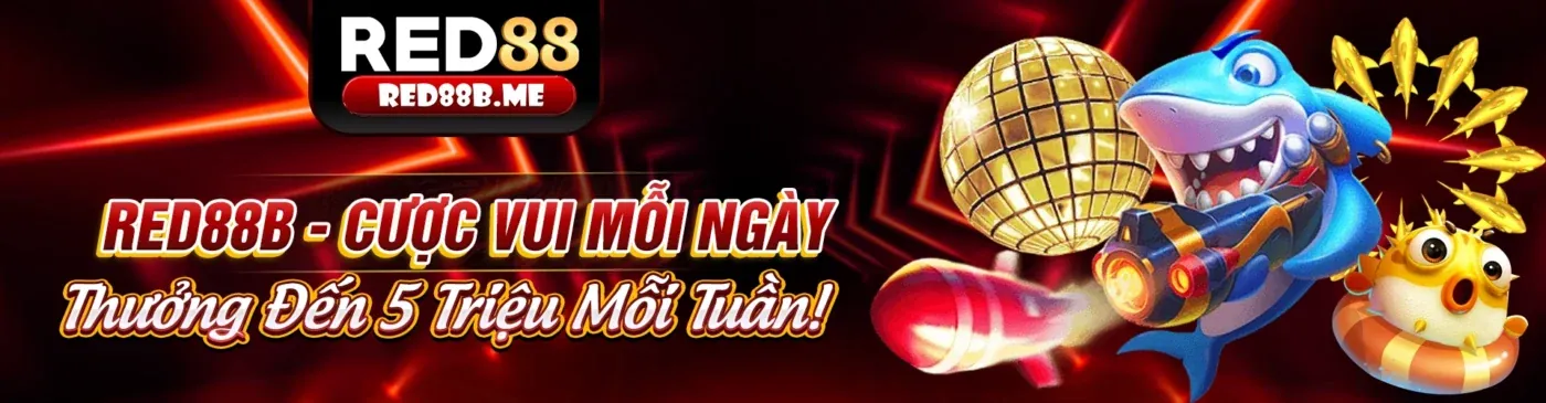 Tổng quan về nền tảng x111 an toàn và minh bạch